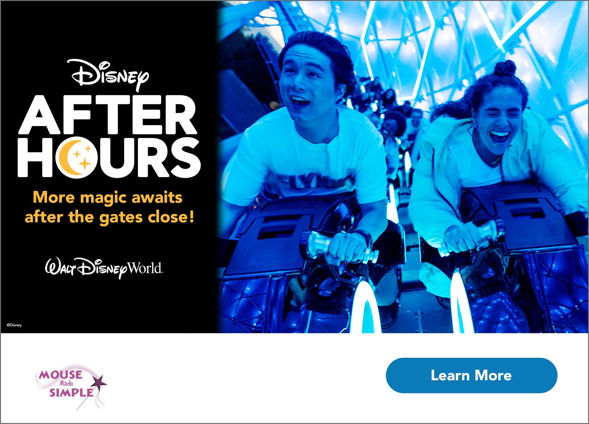 Disney after hours promo